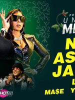 Under the Mistletoe Concert Starring Nelly, Ashanti, Ja Rule, Lil Jon in Glendale on December 4